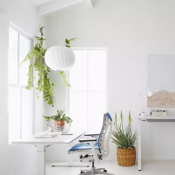 Nelson Saucer Bubble Pendellampa För Vardagsrummet