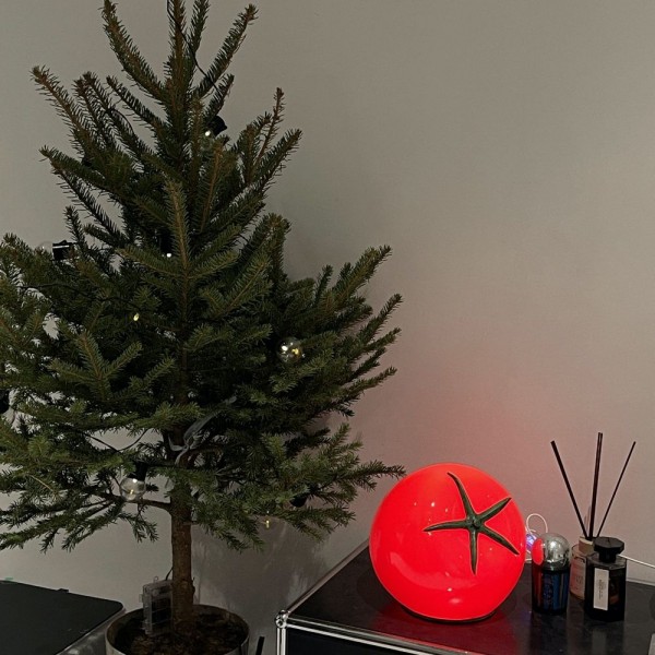 Dekoracyjna Lampa Stołowa LED Pomidor S54