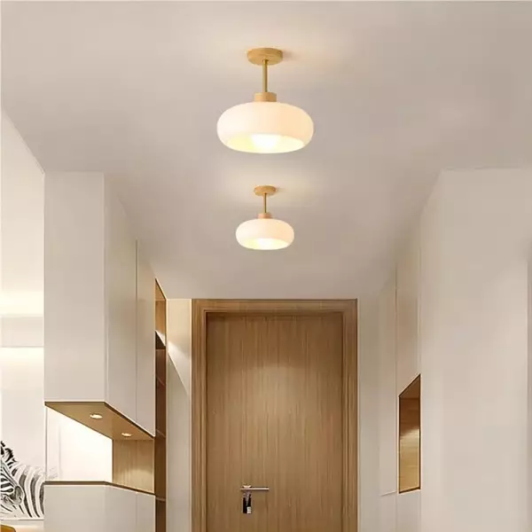 Retro Bauhaus Glass Ceiling Lamp S84