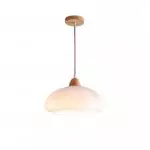 Kreatywna półskorupkowa metalowa lampa wisząca S158