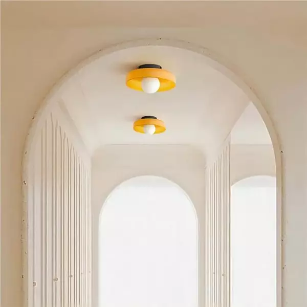Modern Round Flush Mount Morandi Ceiling Lamp Wall Lamp S142