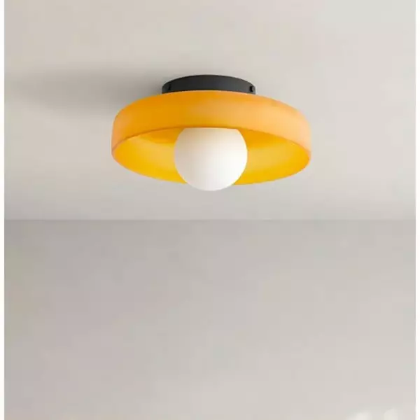 Modern Round Flush Mount Morandi Ceiling Lamp Wall Lamp S142