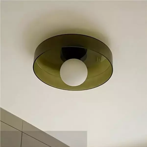 Modern Round Flush Mount Morandi Ceiling Lamp Wall Lamp S142