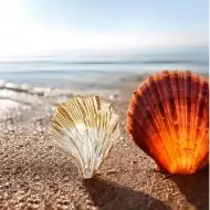 Nowoczesna Szklana Lampa Ścienna Shell S139