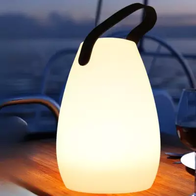 Wiederaufladbare tragbare LED-Tischlampe für den Außenbereich S154