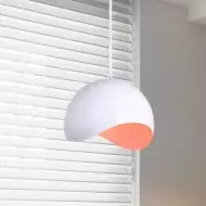 Kreatywna półskorupkowa metalowa lampa wisząca S158