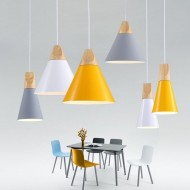 Connell Coned Woody hänge lampa