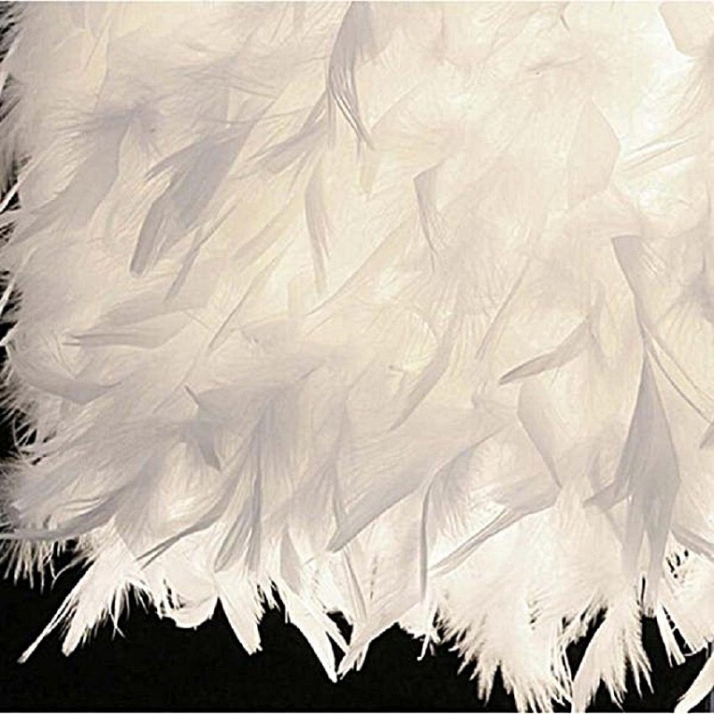 Feather Crystal bordslampa