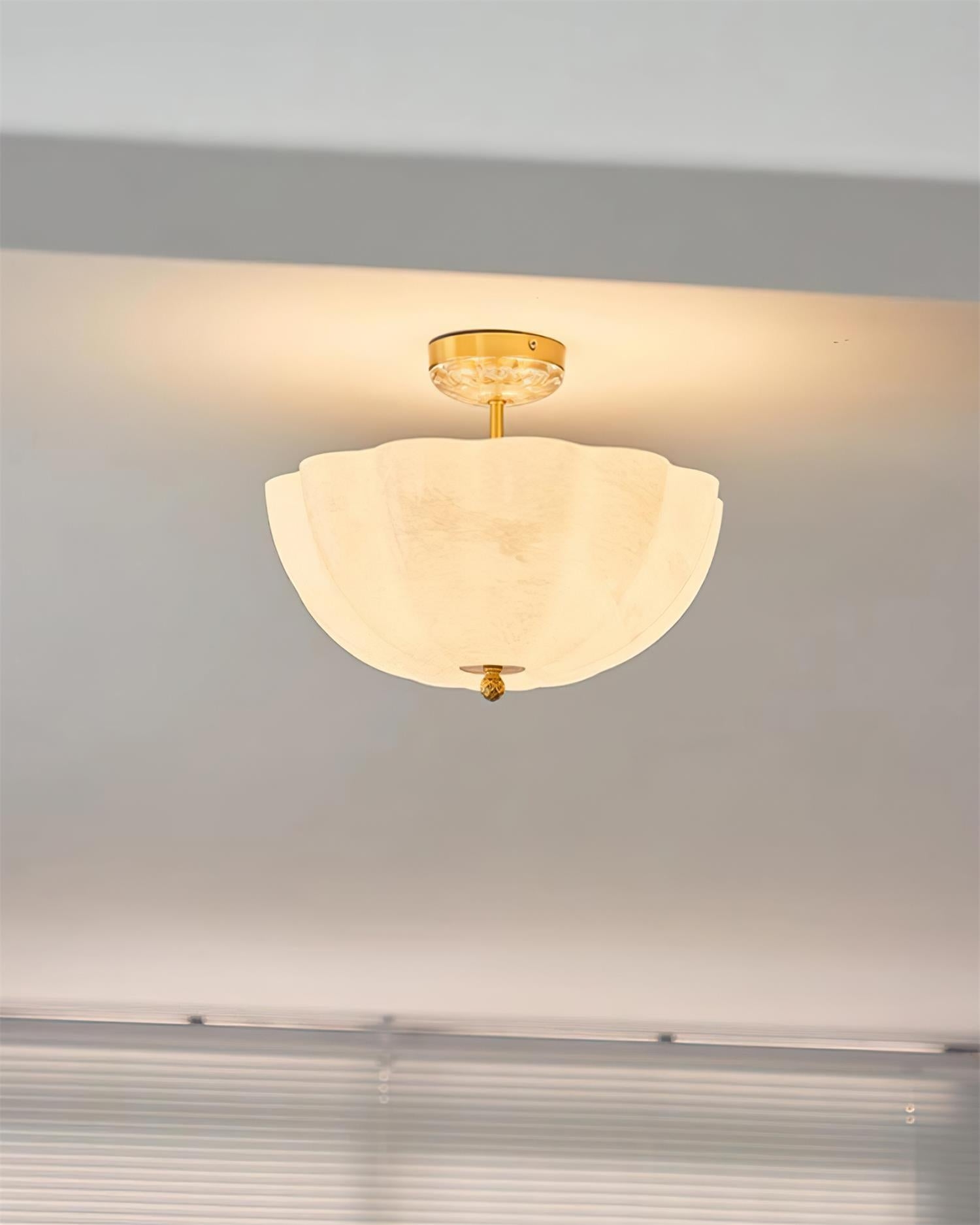Aerin Ceiling Light D48