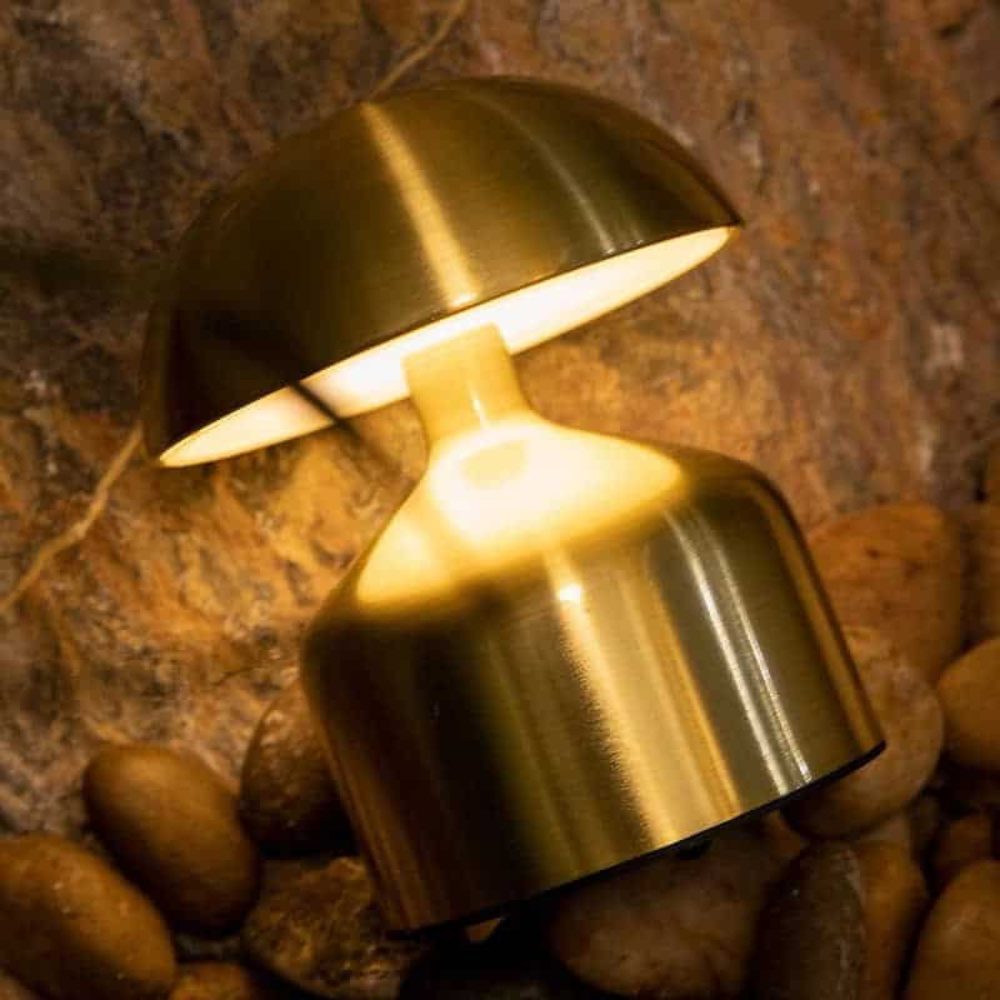Luminous Nikkel Shine D844
