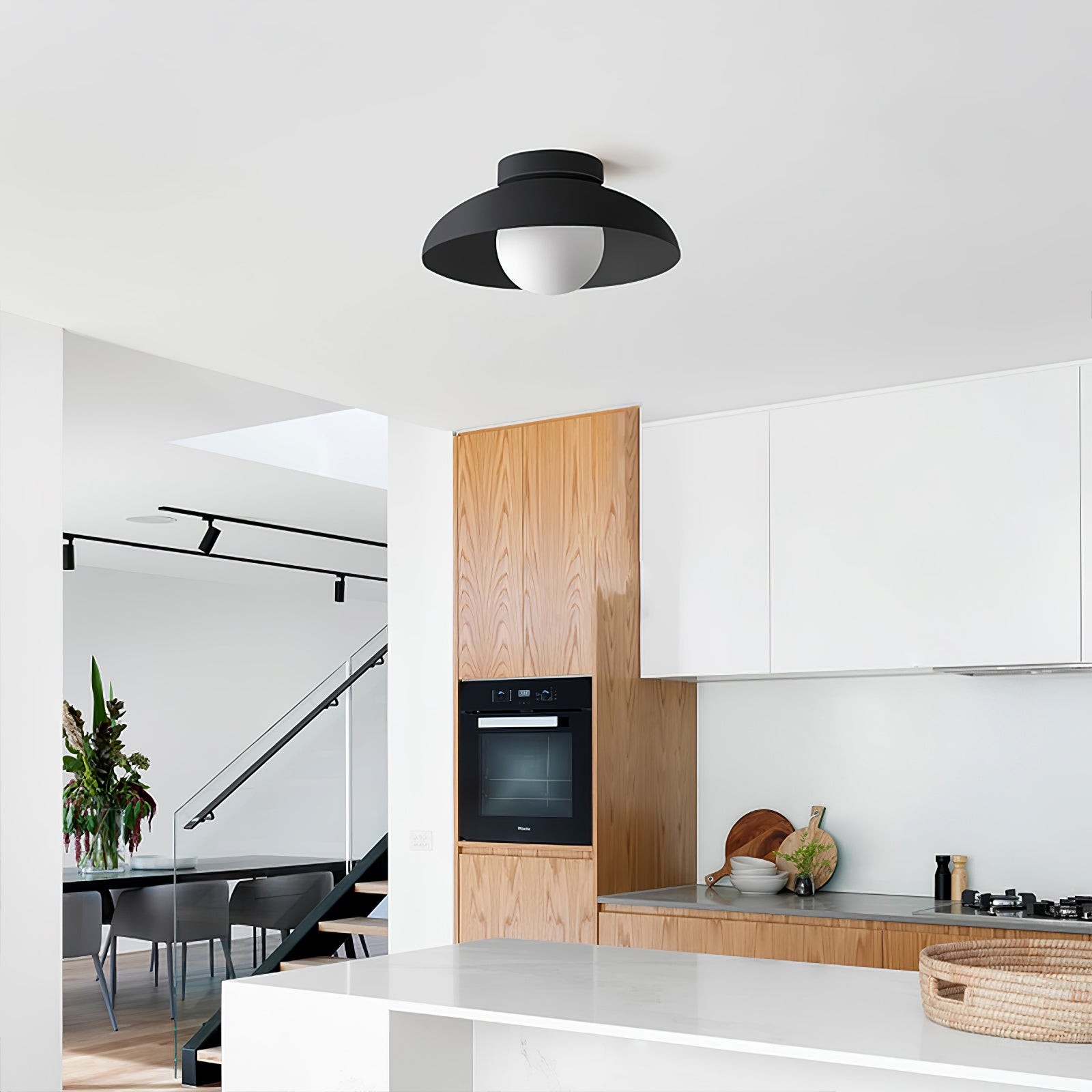 Matte Black Glass Dome Ceiling Lamp M553