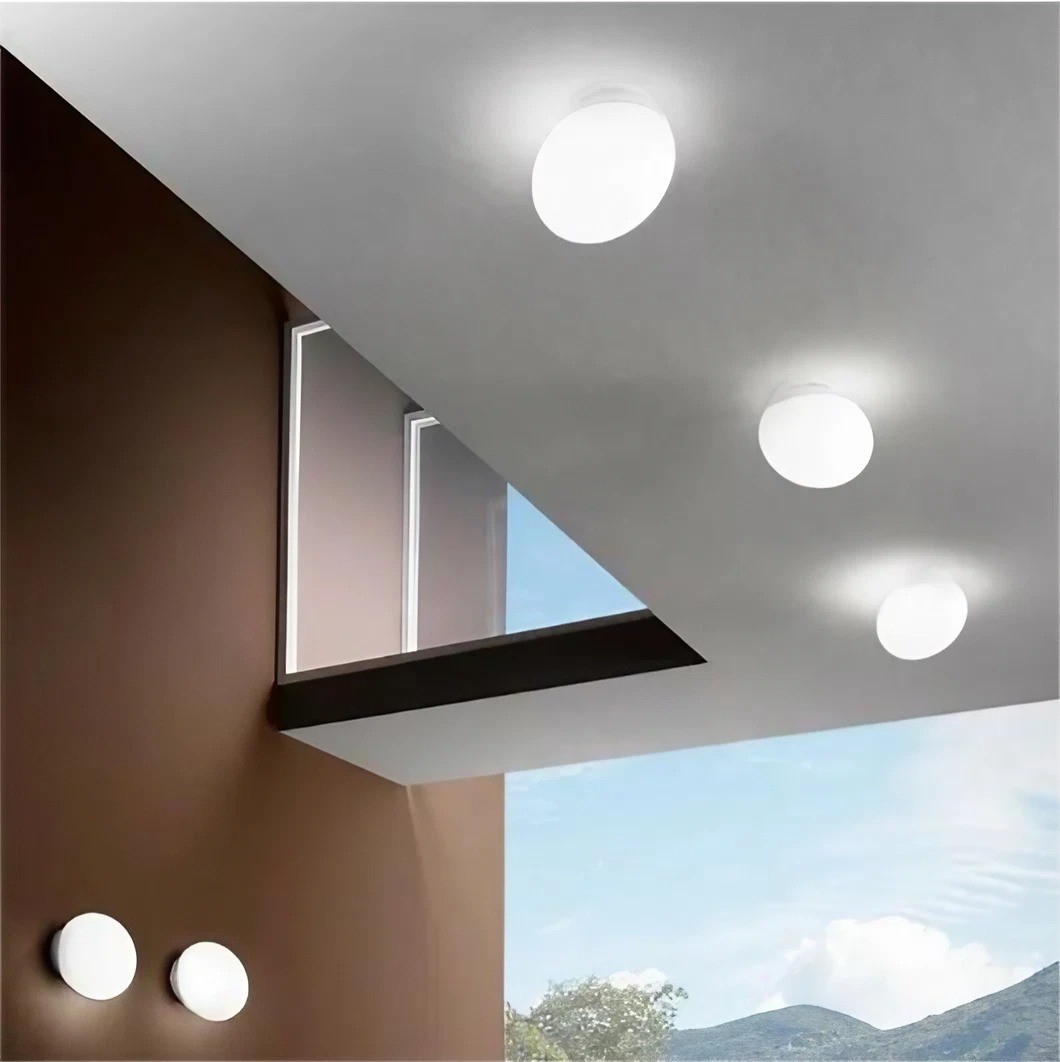 Opal Goose Wall Lamp/ Ceiling Lamp S119