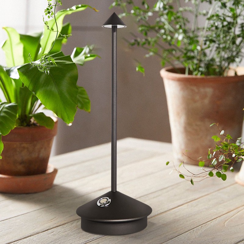 Black Pina lamp among potted plants