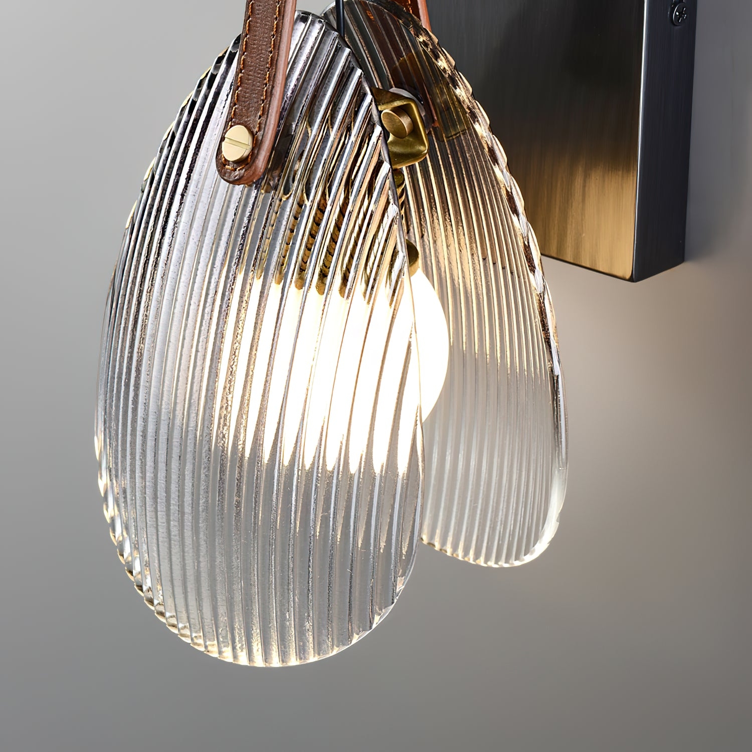 Shell Glass Wall Lamp D463