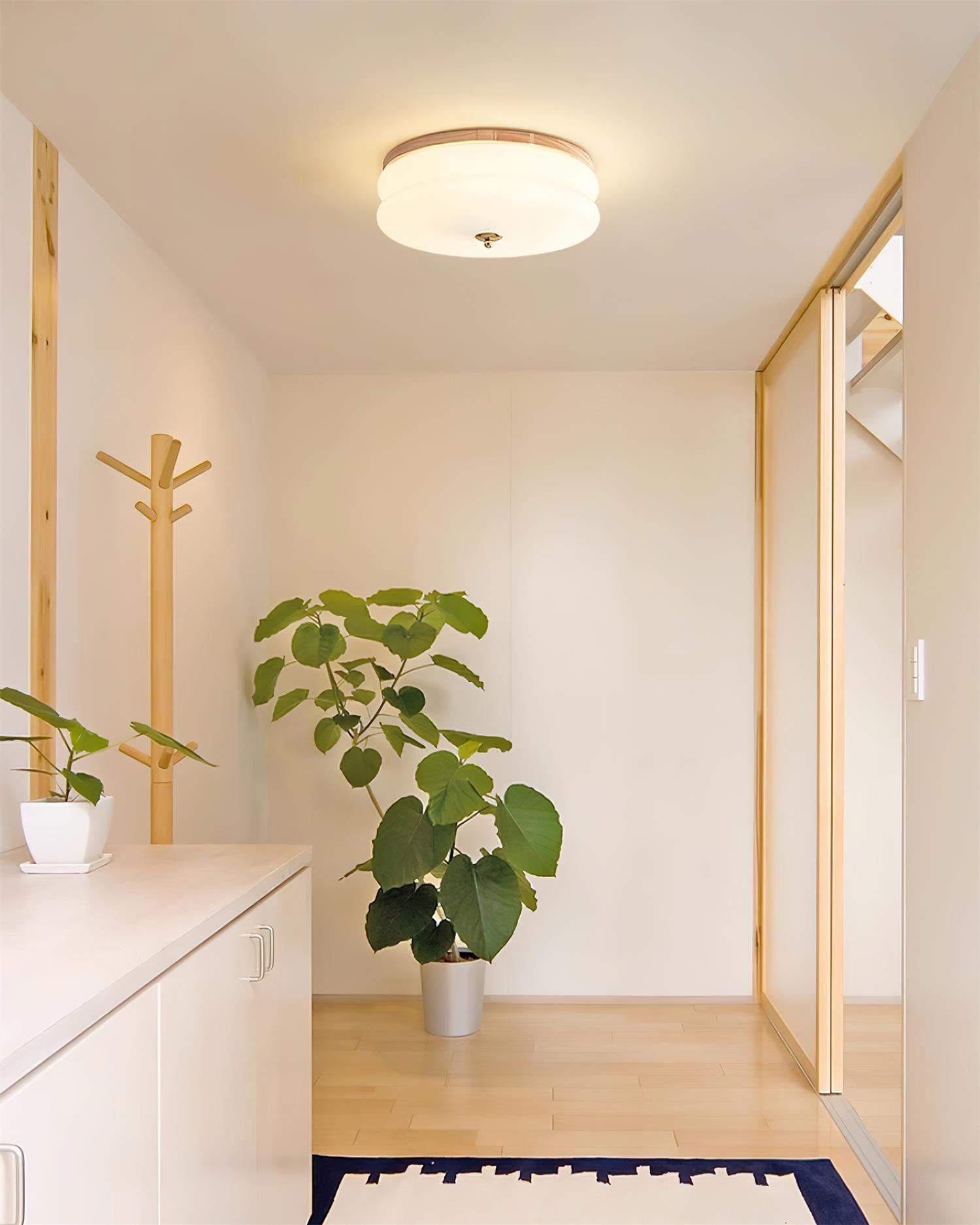 Rowen Ceiling Light D05