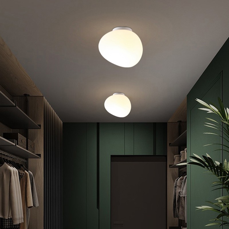 Opal Goose Wall Lamp/ Ceiling Lamp S119