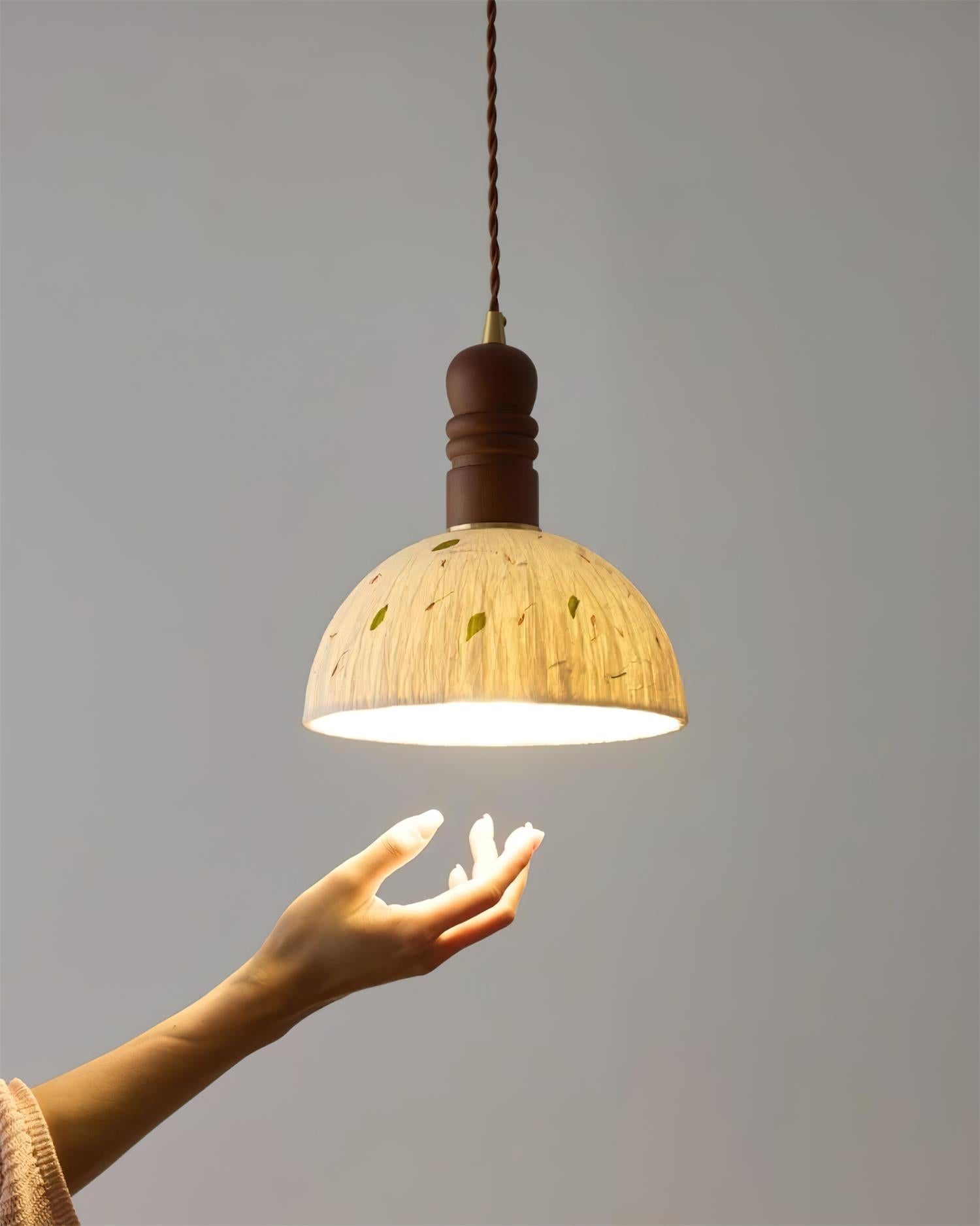 Sylvane Dome Pendant Lamp D192