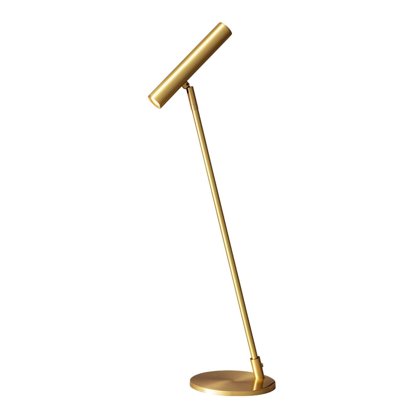 Modern Minimalist Brass Adjustable LED Floor Lamp M507