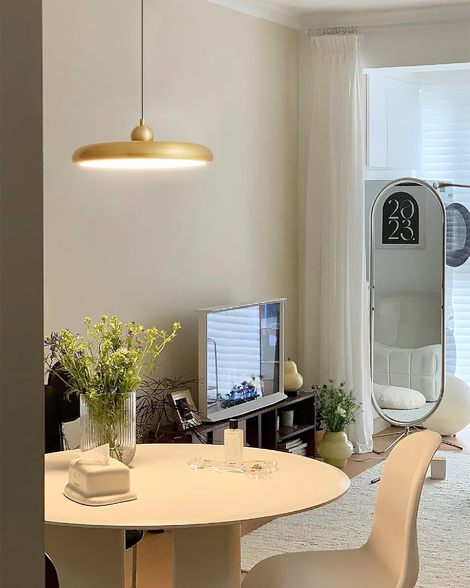 Thin Disc Pendant Lamp M509