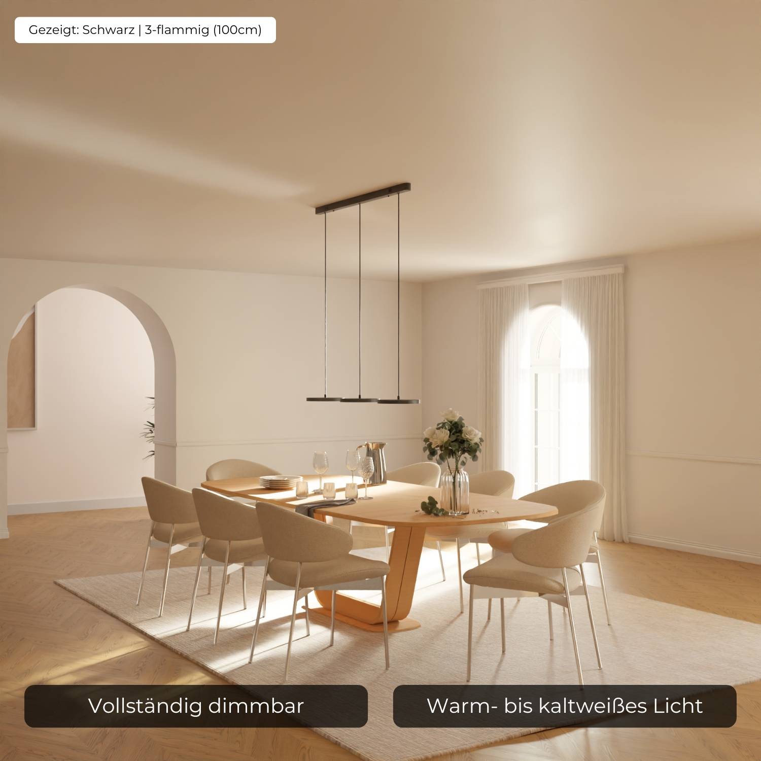 Evanos Designer Pendelleuchte G82