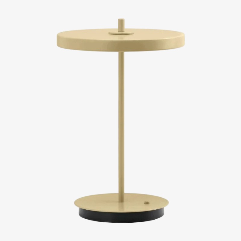 Astris Modern Minimalist Metal Table Lamp Soft LED Illumination for Living Room and Office T581