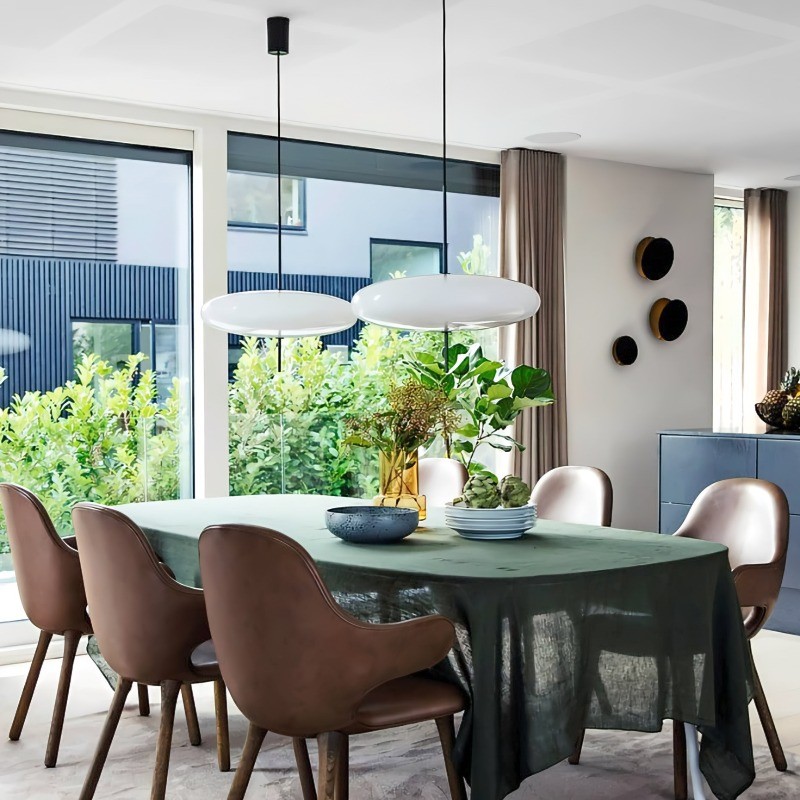 Modern Elliptical Shape Pendant Light
