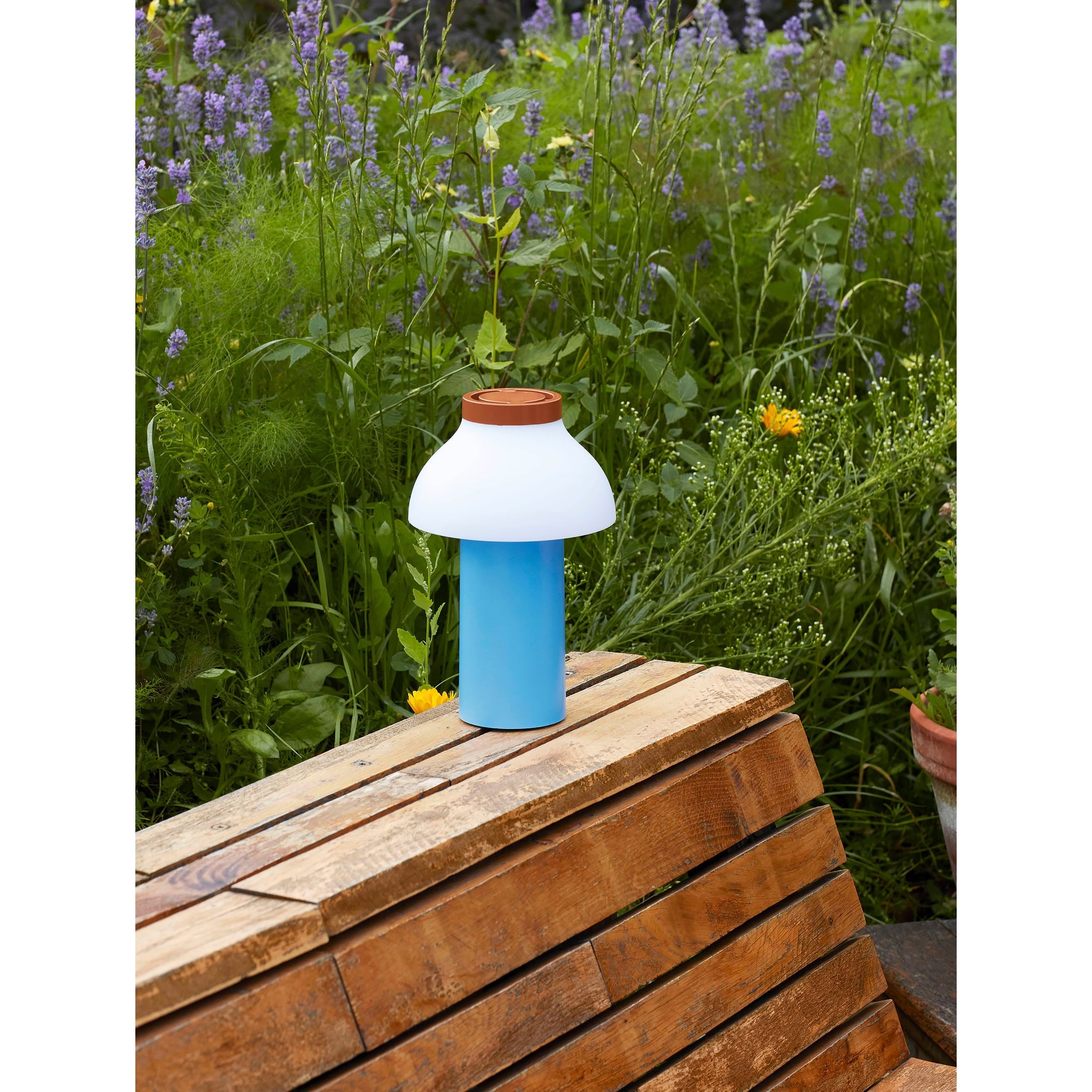 PC Portable Table Lamp D646