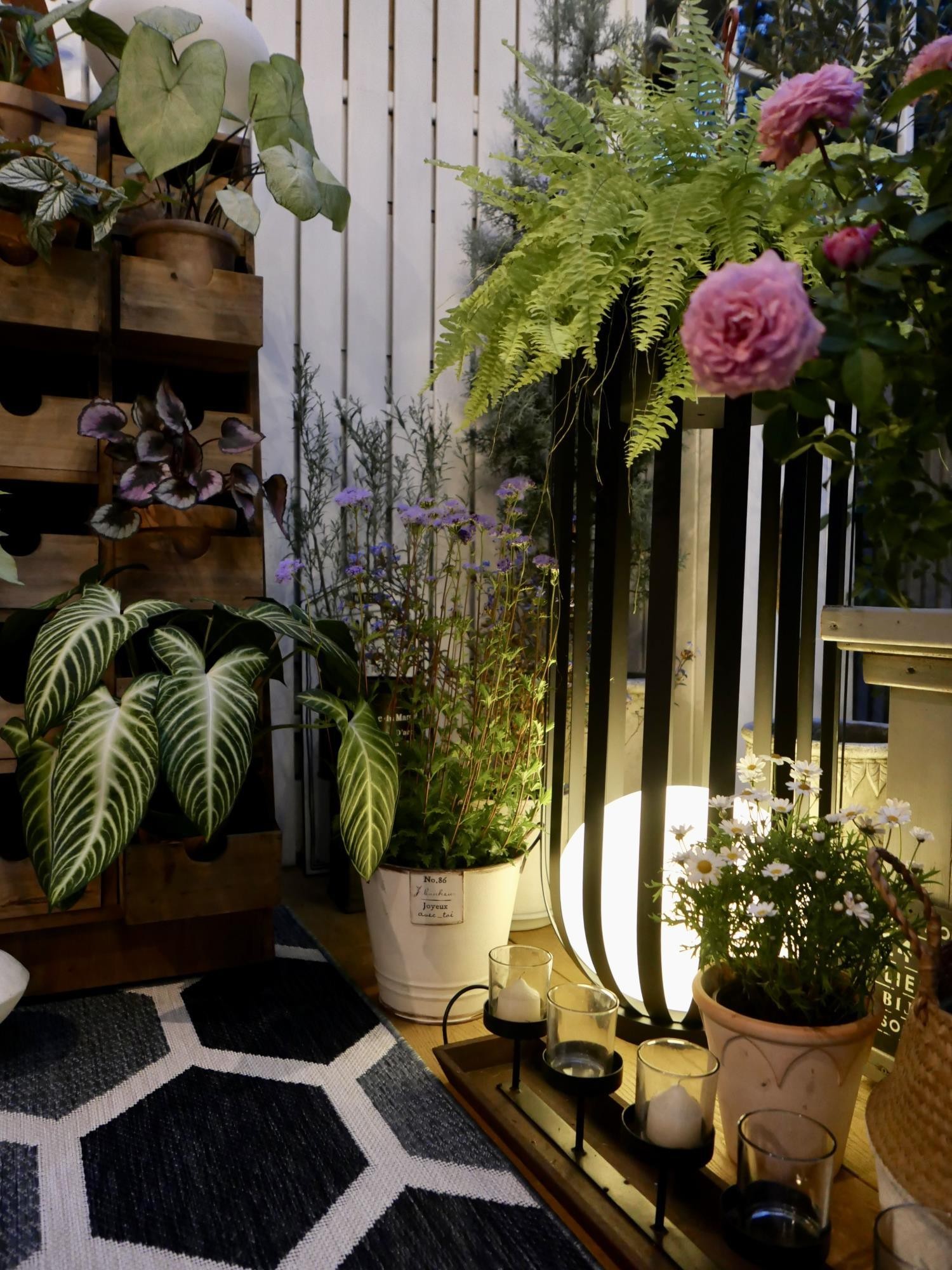 Garden Solar Waterproof Outdoor Lamp M576