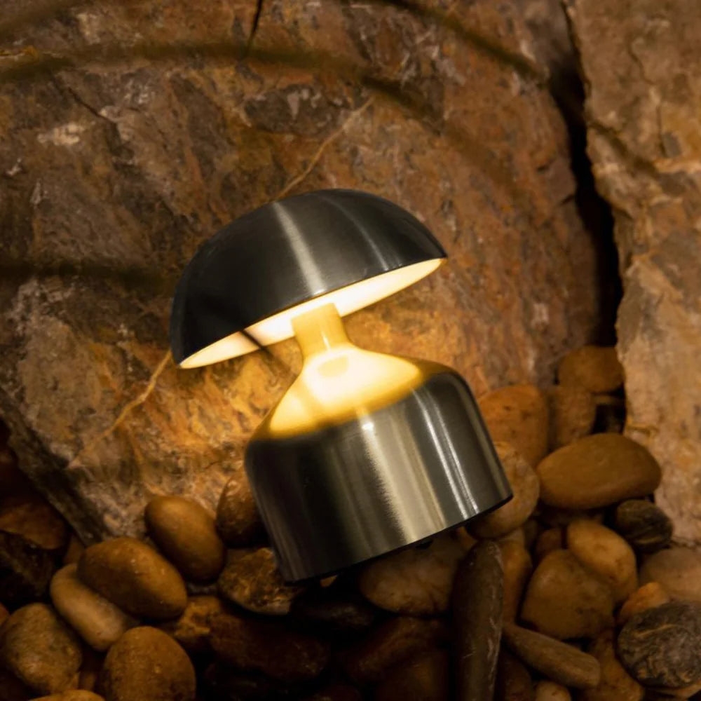 Luminous Nikkel Shine D844