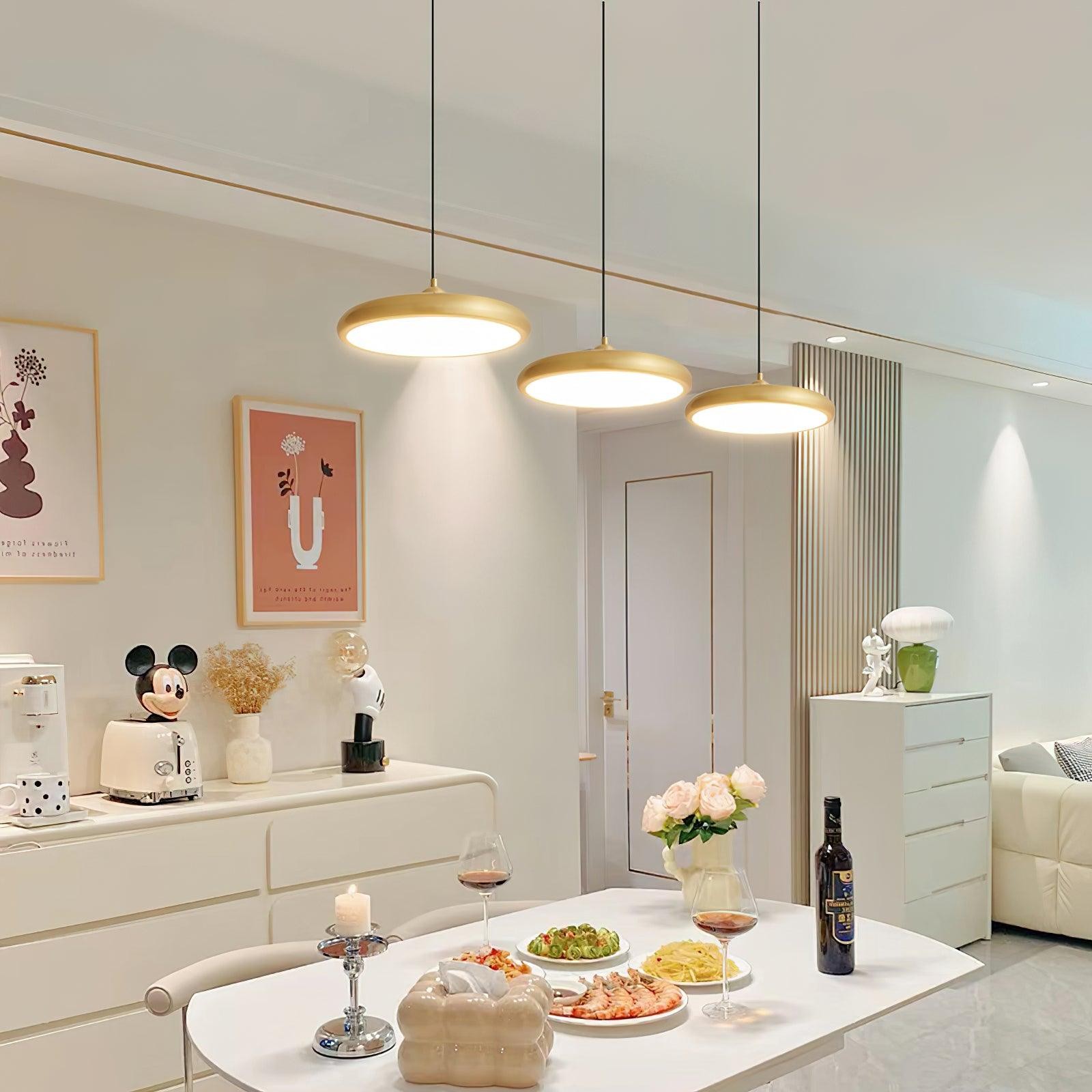 Thin Disc Pendant Lamp M509