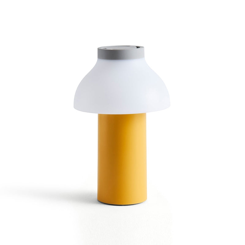 PC Portable Table Lamp D646