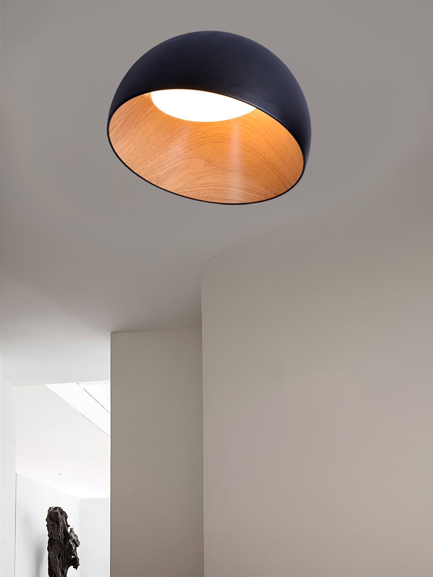 Simple Modern Nordic LED Eggshell Ceiling Lamp M385