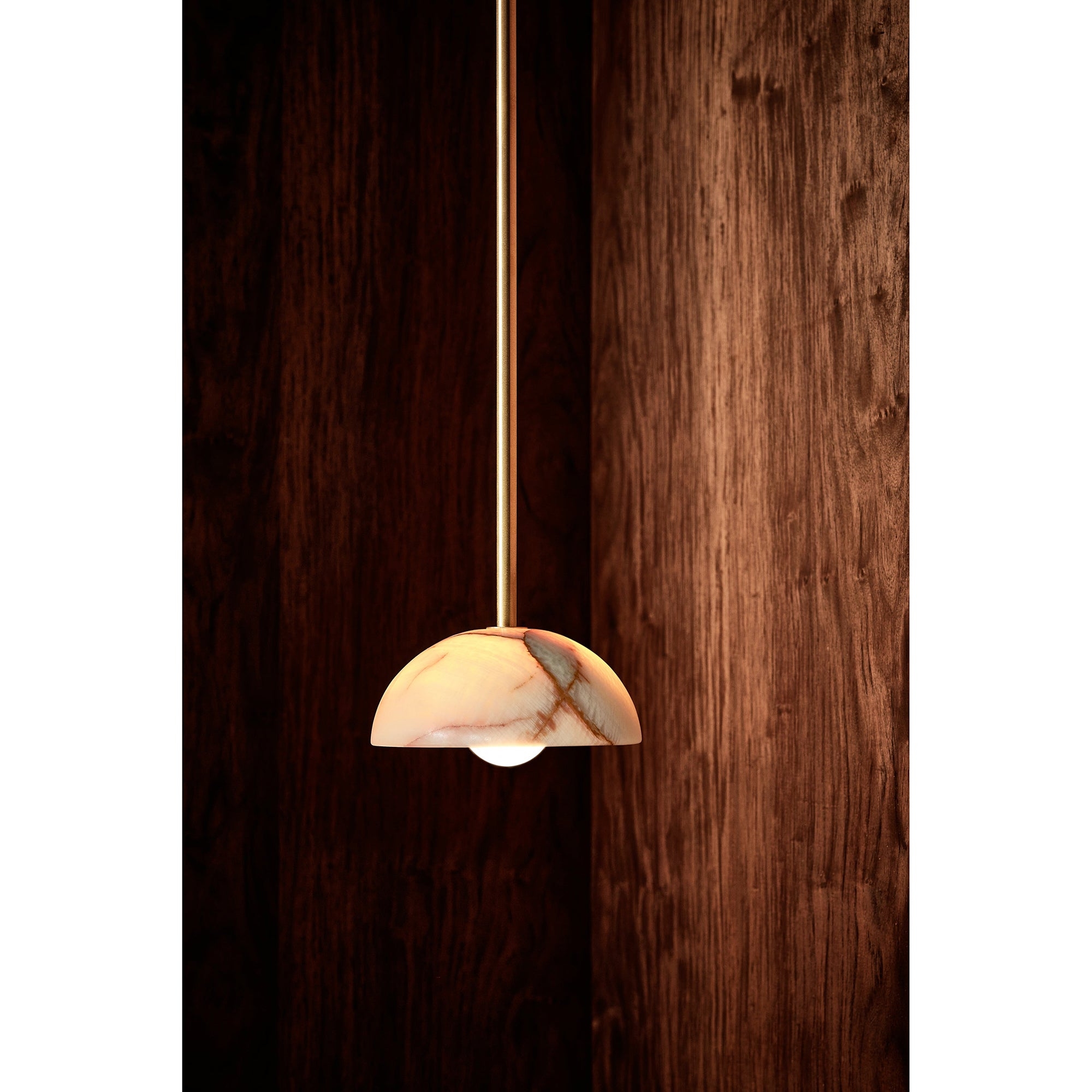Aurelia Pendant Lamp D653