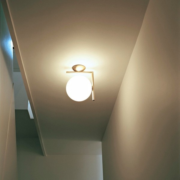 Stylish Glass Globe Wall Light/Ceiling Light S62