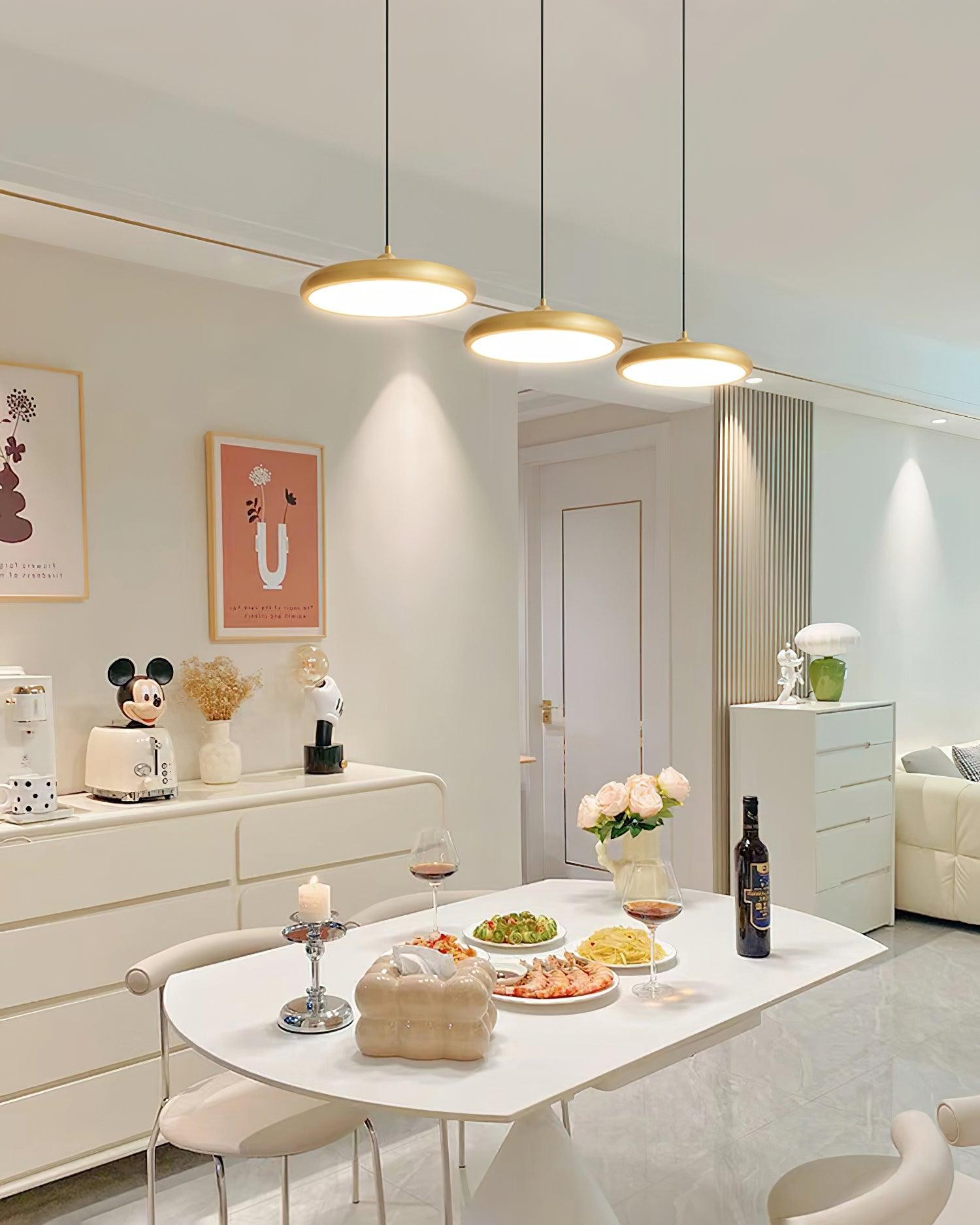 Thin Disc Pendant Lamp M509