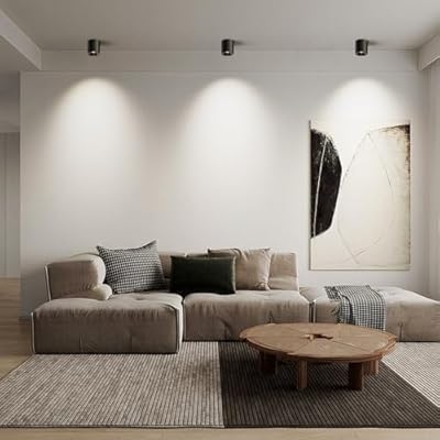 The Futuristic Ring Ceiling Light D779