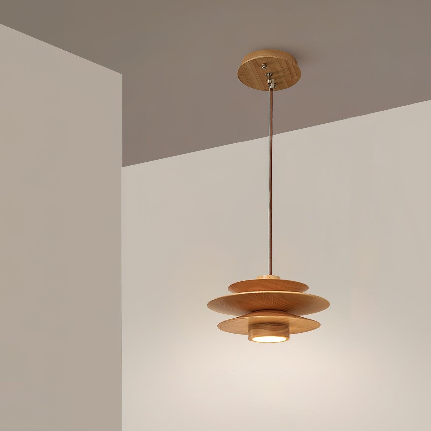 Vintage Pendant Light for Living Room M118