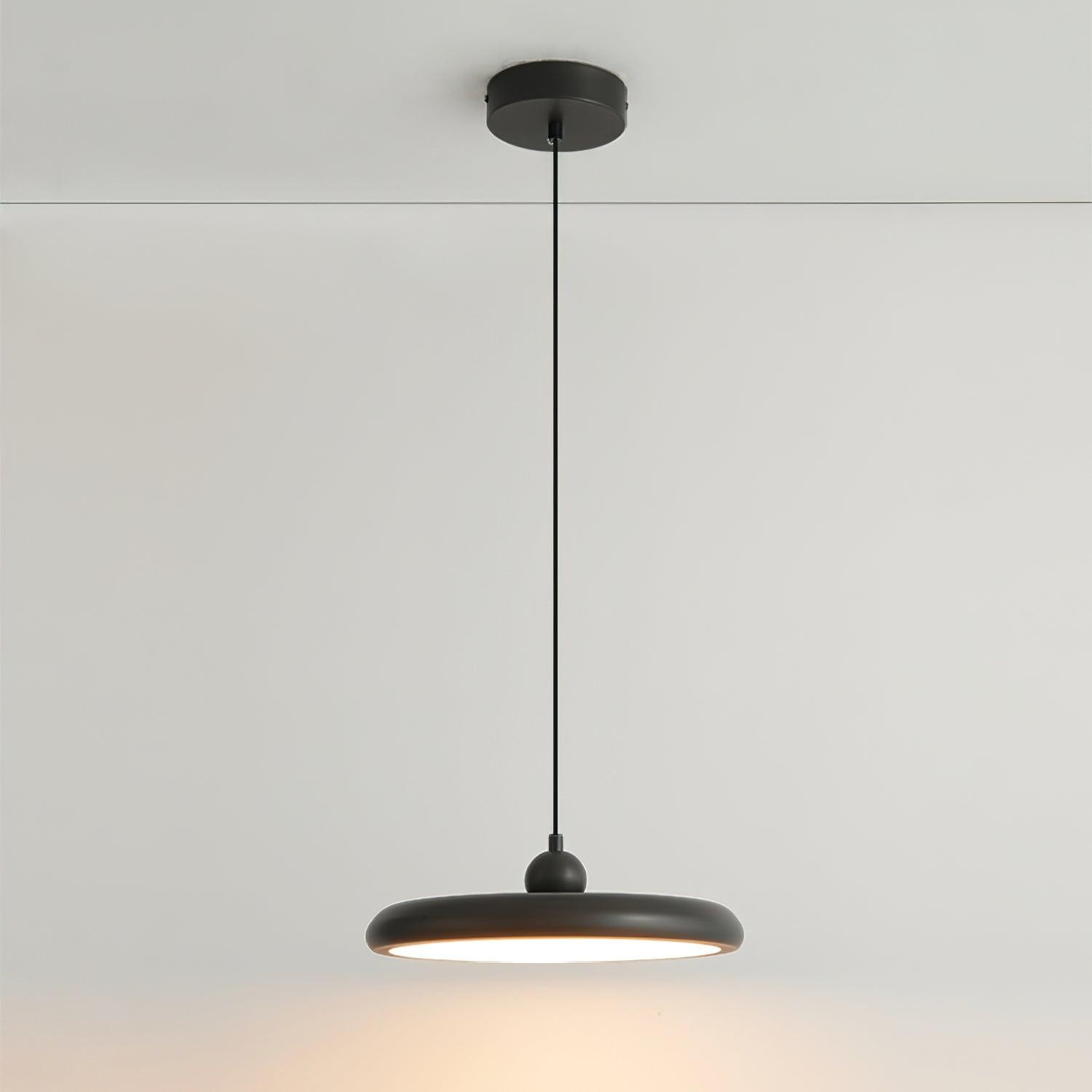 Thin Disc Pendant Lamp M509