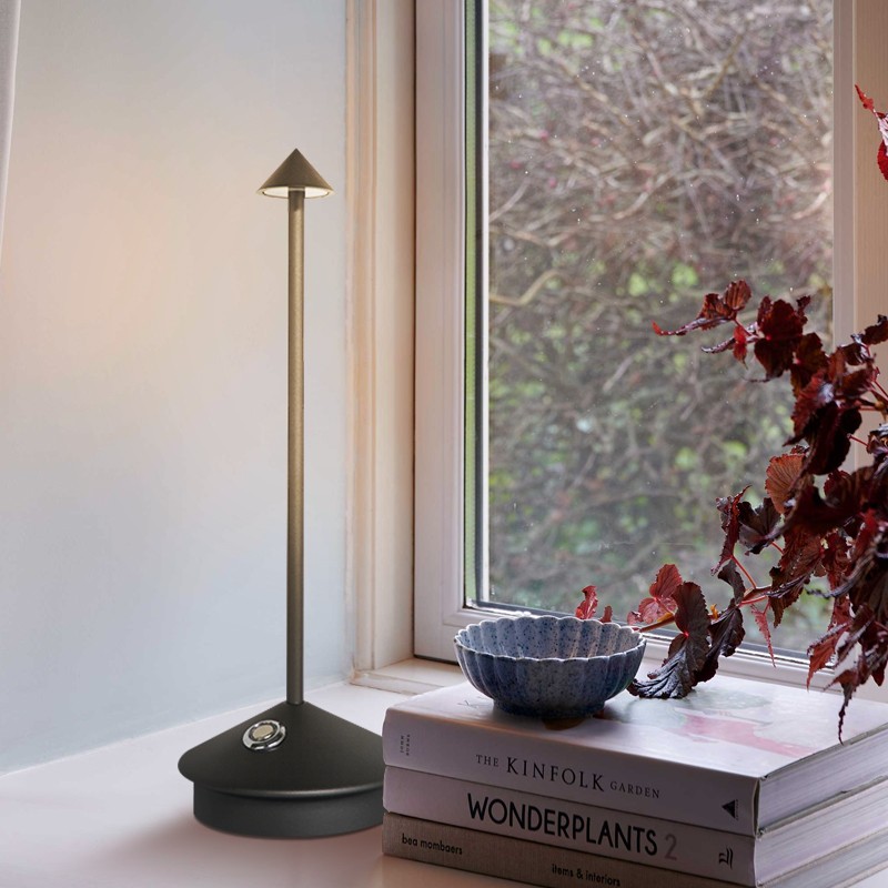 Pina lamp on books by a window with plants
