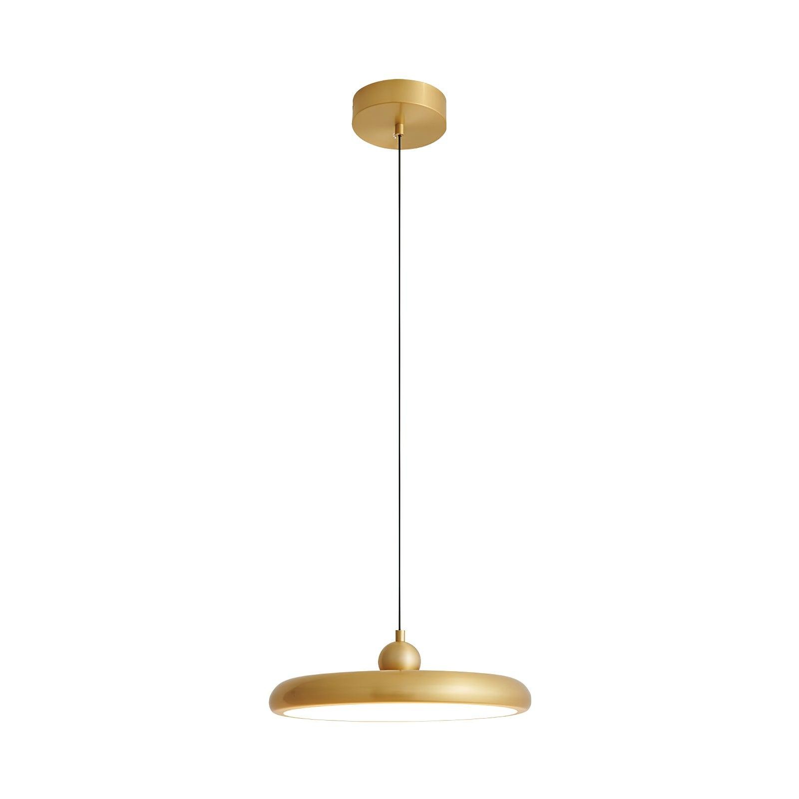 Thin Disc Pendant Lamp M509