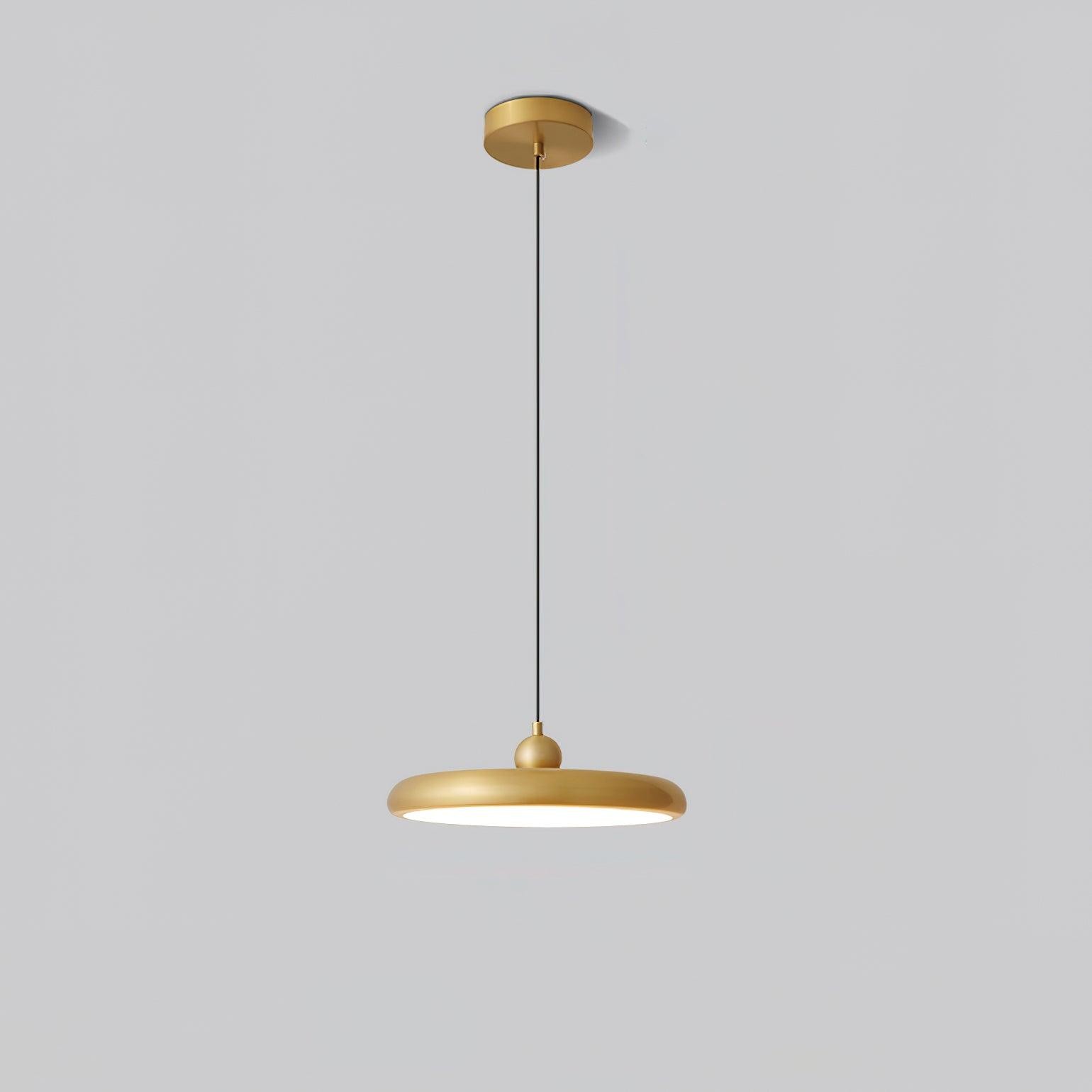 Thin Disc Pendant Lamp M509