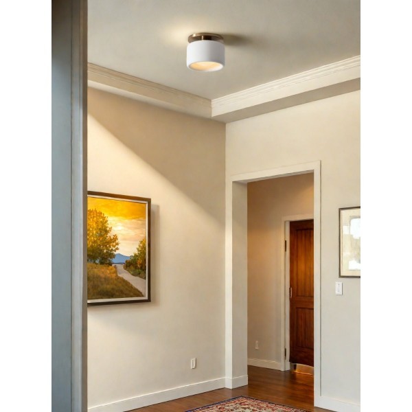 Cerova Elegant Round Porcelain Flush Mount Ceiling Light T165