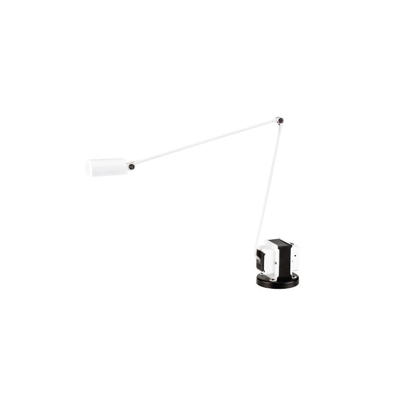 Daphine Table Lamp D446