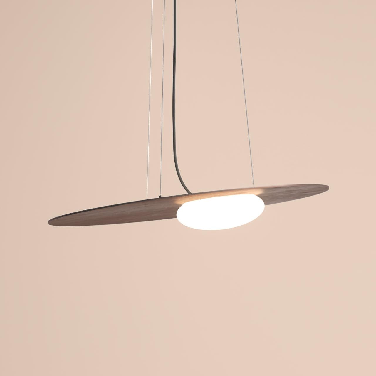 Modern Creative Suspended Pendant Lamp M61