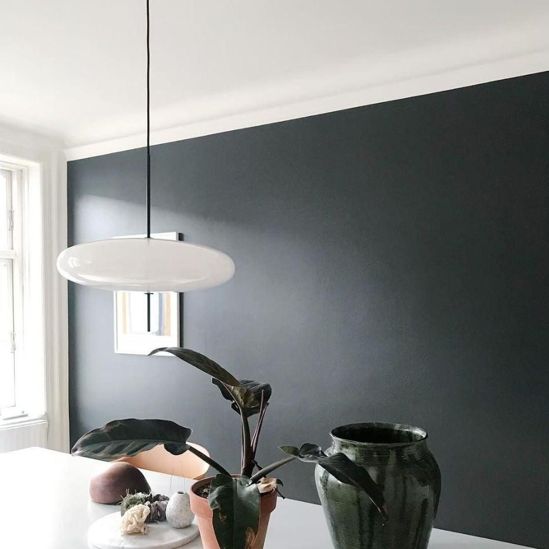 Modern Elliptical Shape Pendant Light