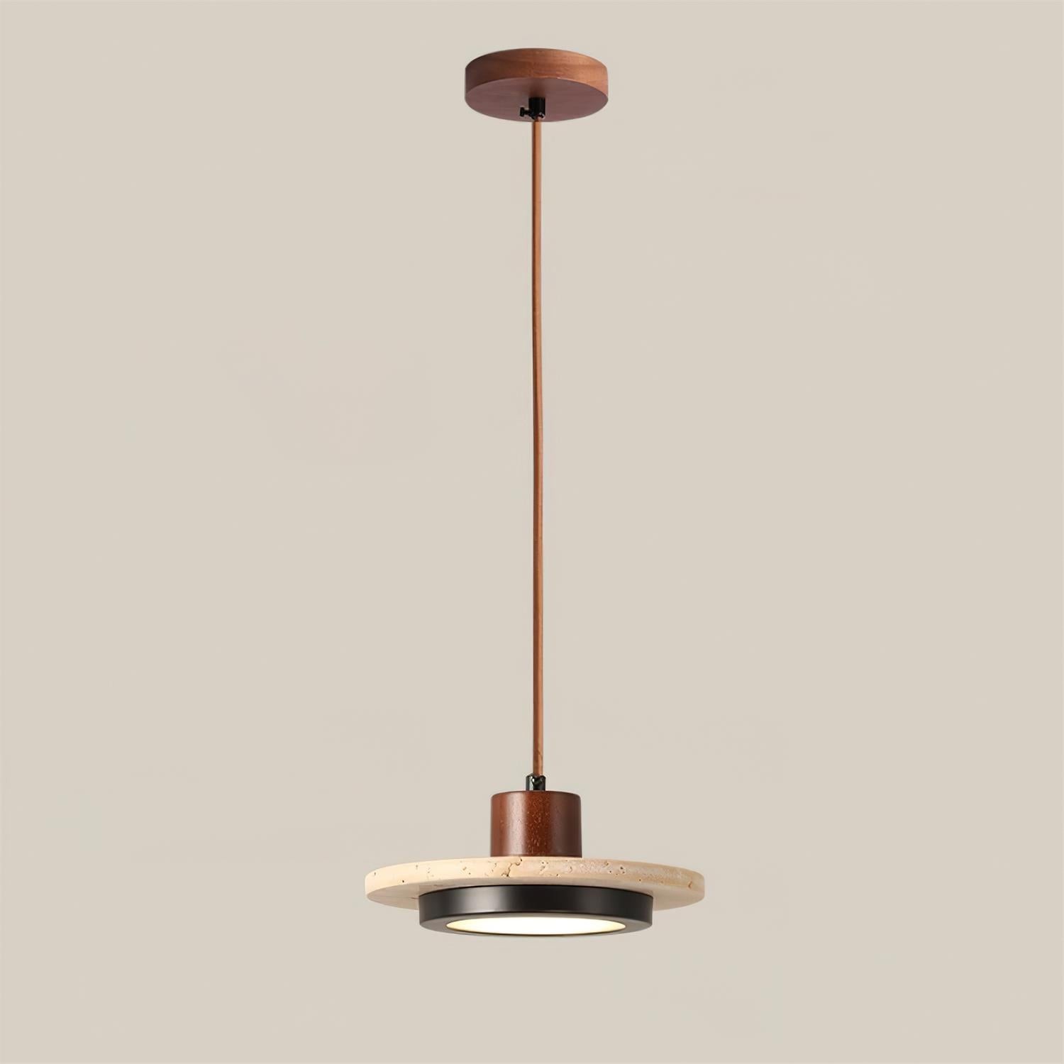 Creative Retro Regular Disc LED Pendant Lamp M254