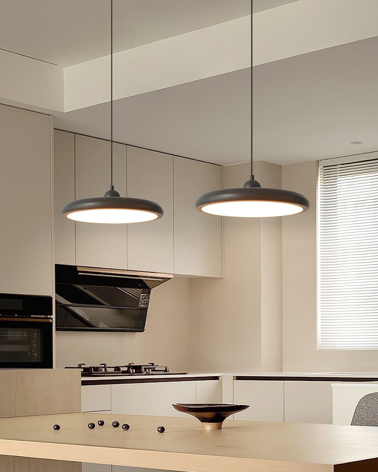 Thin Disc Pendant Lamp M509