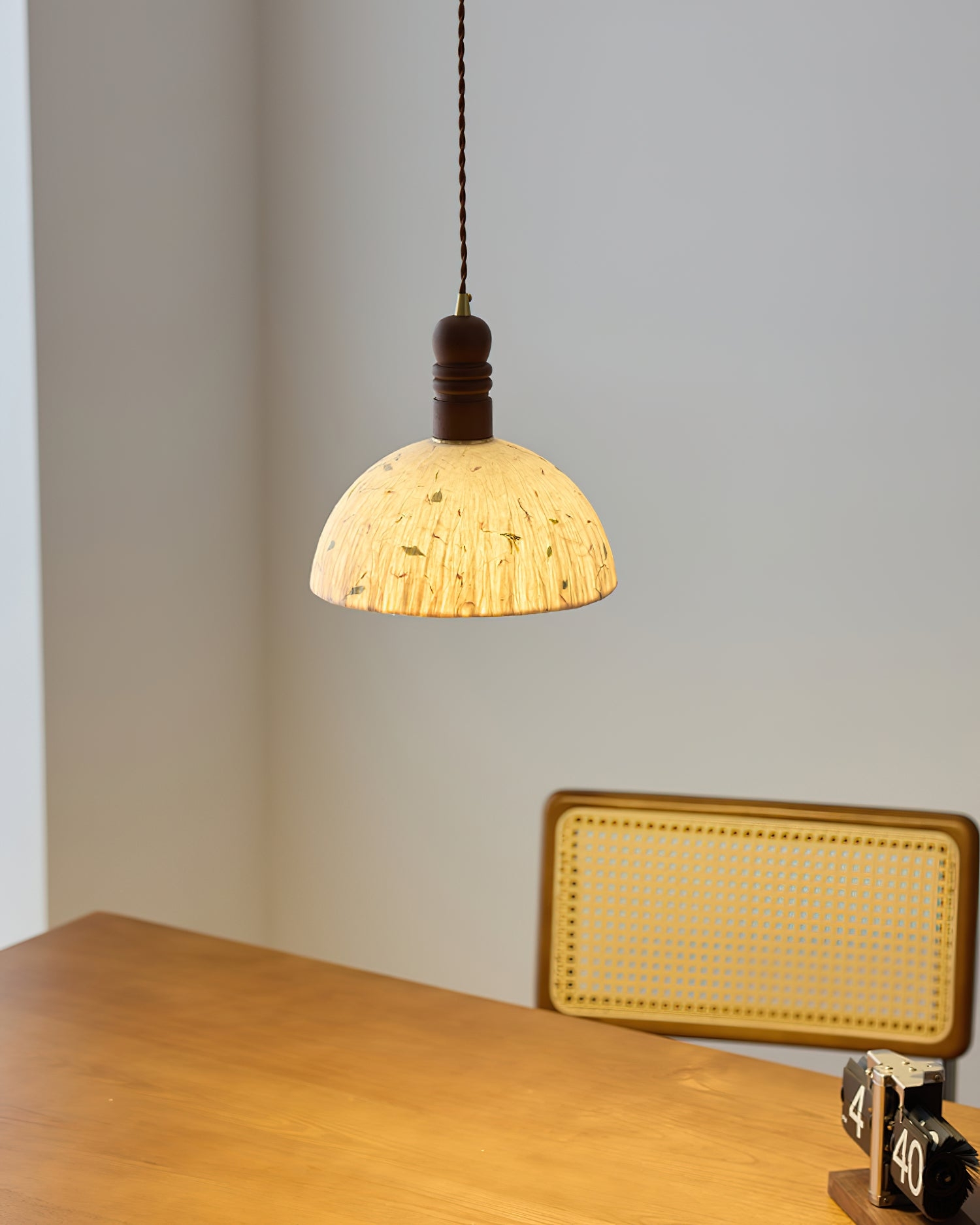 Sylvane Dome Pendant Lamp D192