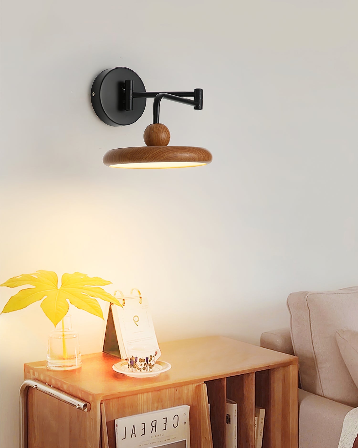 Karlin Plug In Wall Lamp D21