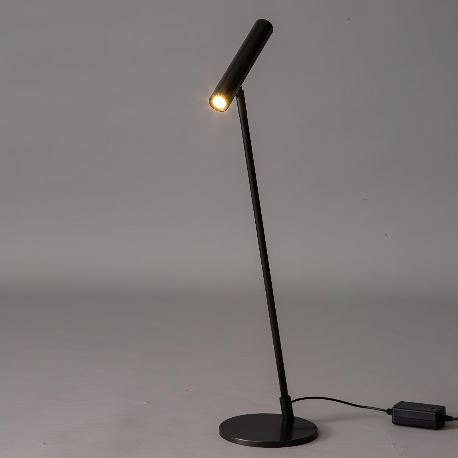Modern Minimalist Brass Adjustable LED Floor Lamp M507